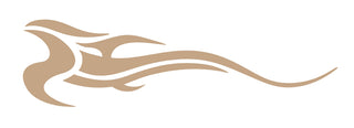 Buy metallic-gold Custom side graphic tribal bird wave #2646
