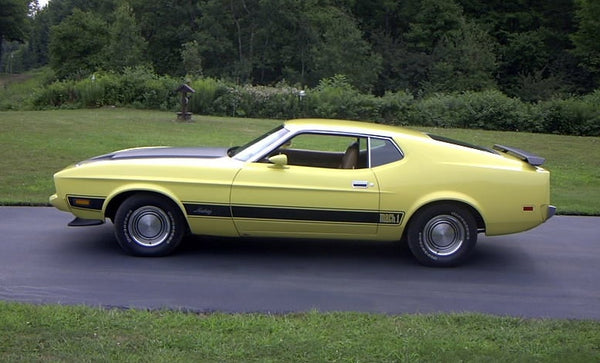 Ford Mustang Mach 1 Stripe Kit 1974 #1416