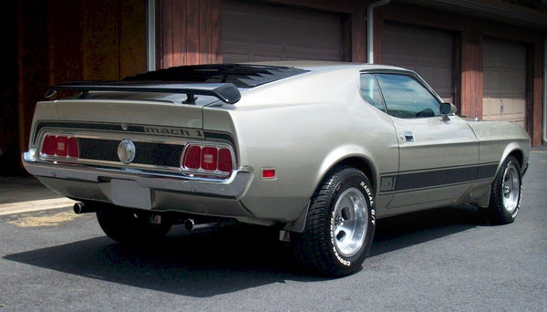 Ford Mustang Mach 1 Stripe Kit 1974 #1416