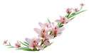 Custom Orchid Flower design graphic #3748