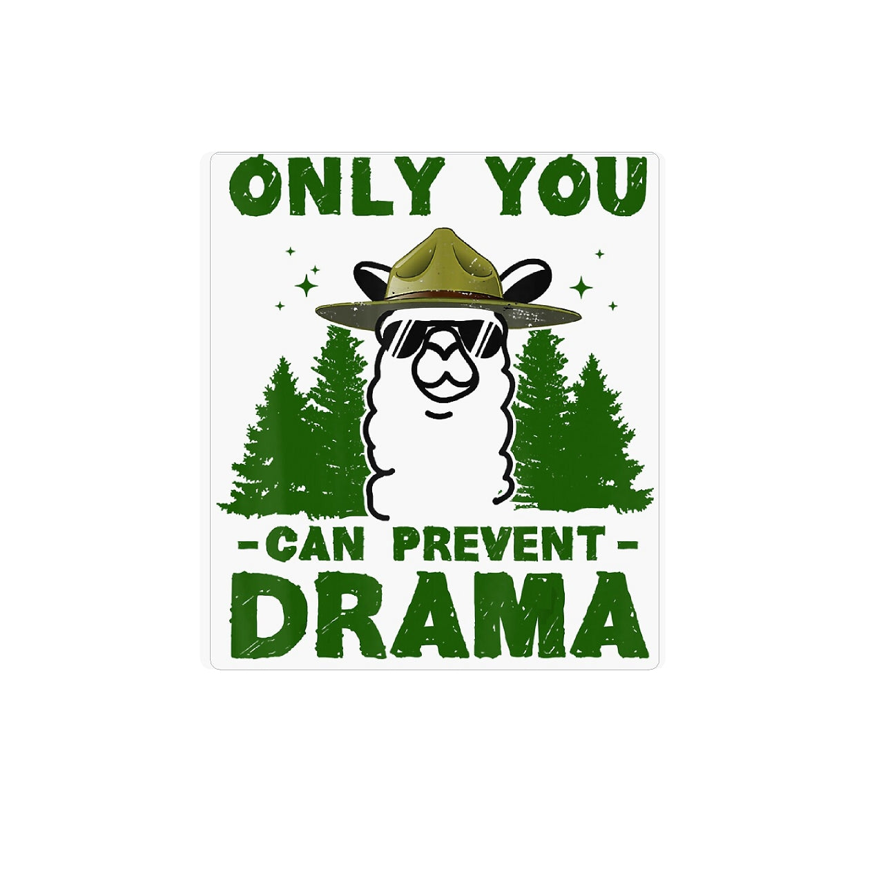 #3761B Only you can prevent drama | Car Pretty Inc.