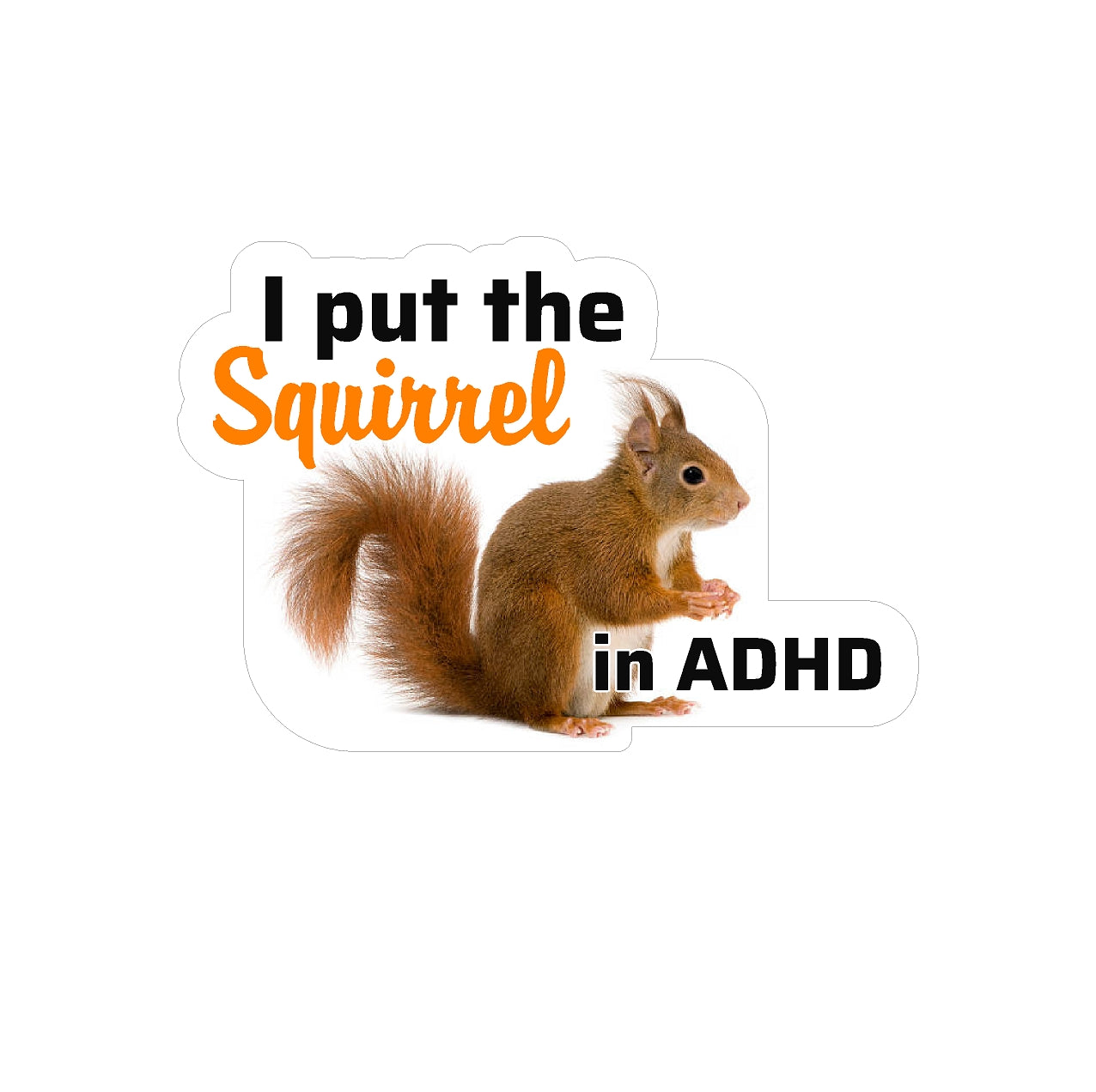 #3761E ADHD Squirrel | Car Pretty Inc.