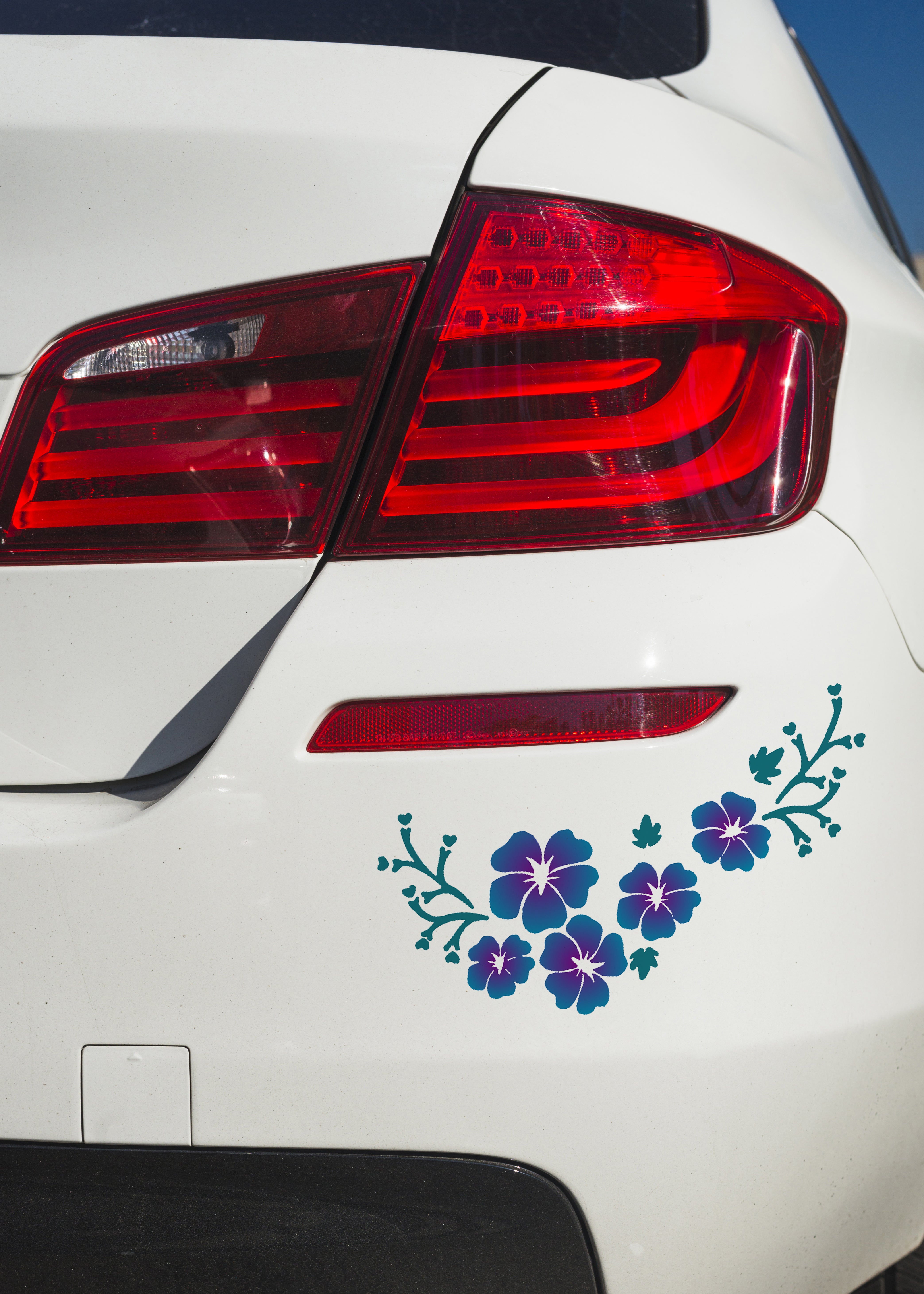 Custom Graphics & Decals | Car Pretty Inc.