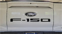 Ford F150 Pro Access Tailgate Inlay 2025 #3787