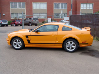 Ford Mustang C Stripes 2005-2009 #3099