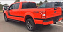 Ford F150 Hockey Stick 2015-2020 #3539